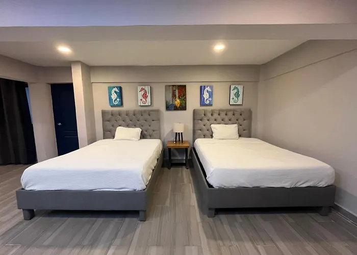 Amplio Estudio Frente Al Mar En A5 *