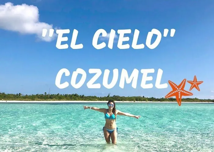 Amplio Estudio Frente Al Mar En A5 * Cozumel